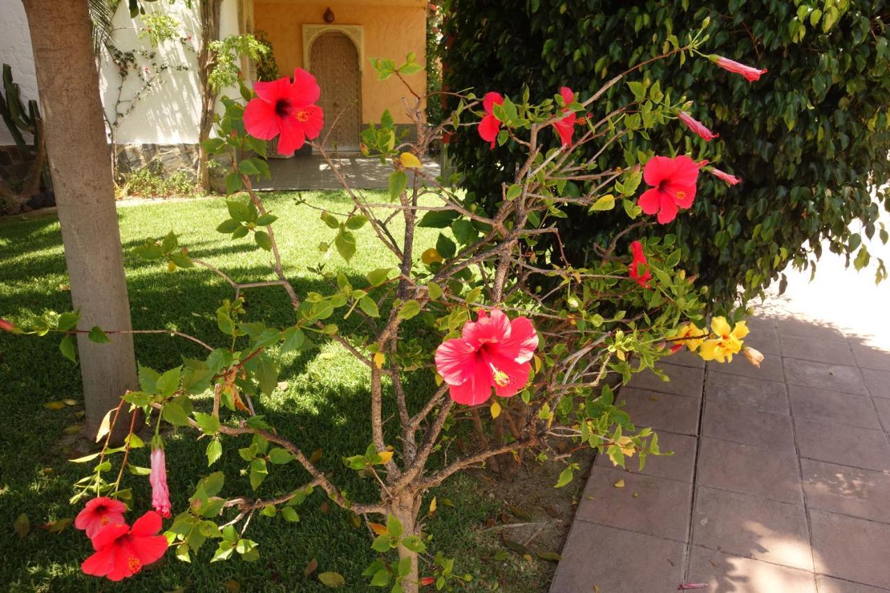 Vera Playa Spain - La Menara Naturist Complex - Eagles Nest - Penthouse Exterior foto